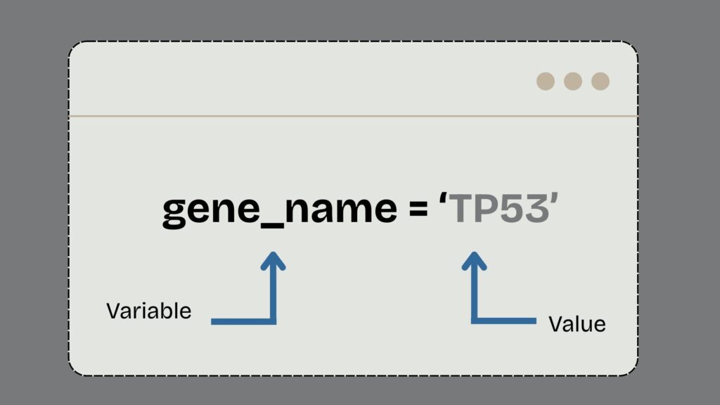 Example of Python variable assignment using a gene sequence example, designed for bioinformatics beginners